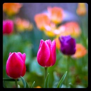 Meet your Posher, Nikki